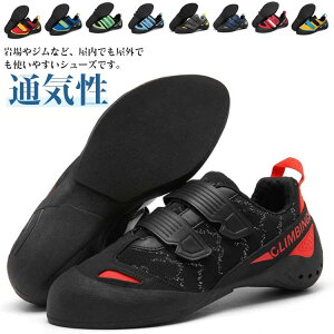 {_O V[Y LbY NC~OV[Y qp {_OV[Y S }WbNe[v ̎q j̎q WjA ʋC fB[X Y  NC~OV[Y 