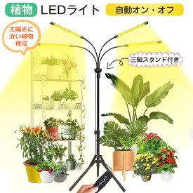 ＼P10★500円割引／植物育成ライト LED スタンド4灯 タイマー 三脚 植物育成LED usb 観葉植物育成ライト 植物ライト 多肉植物育成 トフルスペクトル 10階段調光 80LEDランプ 太陽光 4ヘッド付 室内栽培ライト 水耕栽培ランプ 光補足 日照不足解消 植物成長