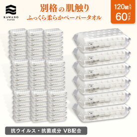 ＼抗ウイルス・抗菌成分 VB配合／河野製紙 ふっくら柔らかペーパータオル［1パック×60パック］【ペーパータオル 紙 使い捨て 抗菌 日用品 業務用 日常使い まとめ買い ケース販売 箱買い アウトドア お出かけ 国産 ソフト ギフト 誕生日プレゼント】