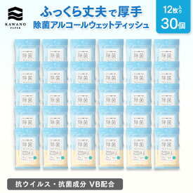 ＼抗ウイルス・抗菌成分 VB配合／河野製紙 除菌アルコールウェットティッシュ［30個］【ウェットティッシュ シート 除菌 抗 ウイルス 抗菌 日用品 まとめ買い 箱買い アルコール 防災 お出かけ アウトドア ギフト 誕生日プレゼント】