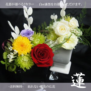 vU[uht[@ u@ --v vU-uht[ ~@