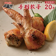 【期間限定最大1000円OFF】風来坊 送料無料 おいし～い手羽餃子 20本セット 名古屋 手羽餃子 鶏肉 手羽先…