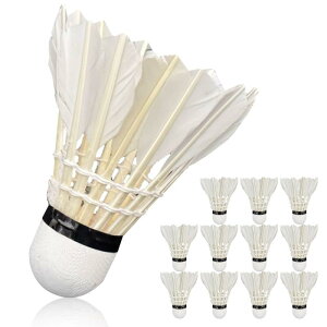 [AiO JAPAN] oh~g Vg 12 1_[X K iC vX`bN [sAi]