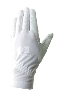 HI-GOLD(nCS[h) 싅 xgXp (Z싅Ή)