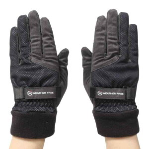 [LXR] StEFA O[u SF-2227W EFU[t[ EH[O[u 0000456807