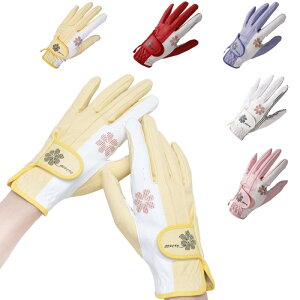 Baestappy fB[XJtpStO[u fUC×KtBbg×ϋv }XgACe