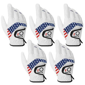 StO[u Y 5Zbg VRvƍv̑gݍ킹  _炩 Lk ʋC ɂObv  J ɋ SV󃂃f StEFA