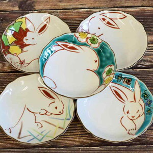 �a���̑� ���M �Z�b�g ������� �H�� ��J�� ���M 5���Z�b�g �Ԃ����� ���� ���� �u�����h �a�H�� ���M ���{�� �����j�� �v���[���g �M�t�g