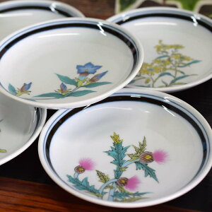 �a���̑� ���M �Z�b�g ������� �H�� ��J�� ���M 5���Z�b�g ���ԊG�ς� ���� ���� �u�����h �a�H�� ���M ���{�� �����j�� �v���[���g �M�t�g