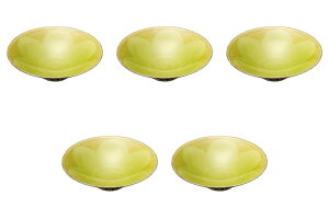 5�Z�b�g ��؂������������� [ 16×4.5cm ] | ���� �L�c�� �Z�g���m�z���|(Setomonohonpo)