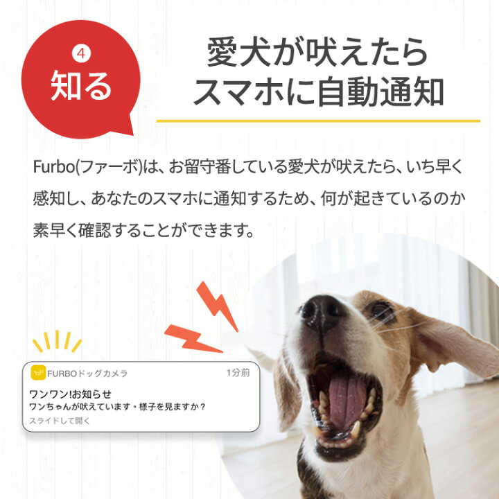楽天市場 新型 Furboドッグカメラ 360 ビュー ファーボ Ai搭載 Wifi ペットカメラ ペット 見守りカメラ カメラ 犬 留守番 飛び出すおやつ 自動追尾機能 カラー暗視モード 双方向会話 スマホ Iphone Android 対応 アカウント共有 写真 動画 Furbo 公式ストア