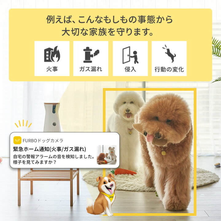 楽天市場】【新型】Furboドッグカメラ - 360°ビュー[ファーボ] - AI 
