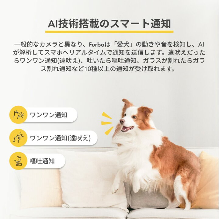 楽天市場】【新型】Furboドッグカメラ 360°ビュー プレミア定額 