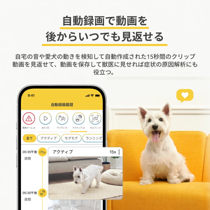 楽天市場】Furboドッグカメラ 360°ビュー プレミア定額パッケージ 