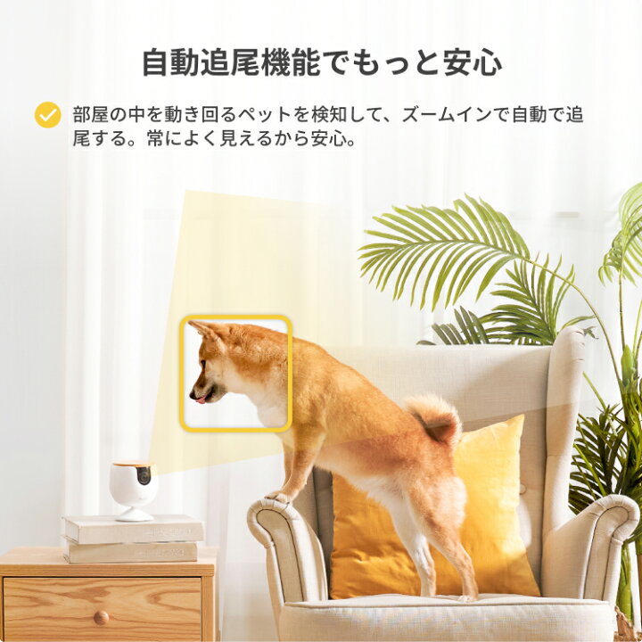 楽天市場】Furboミニ [ファーボ] AI搭載 110万人愛用のペットカメラ 