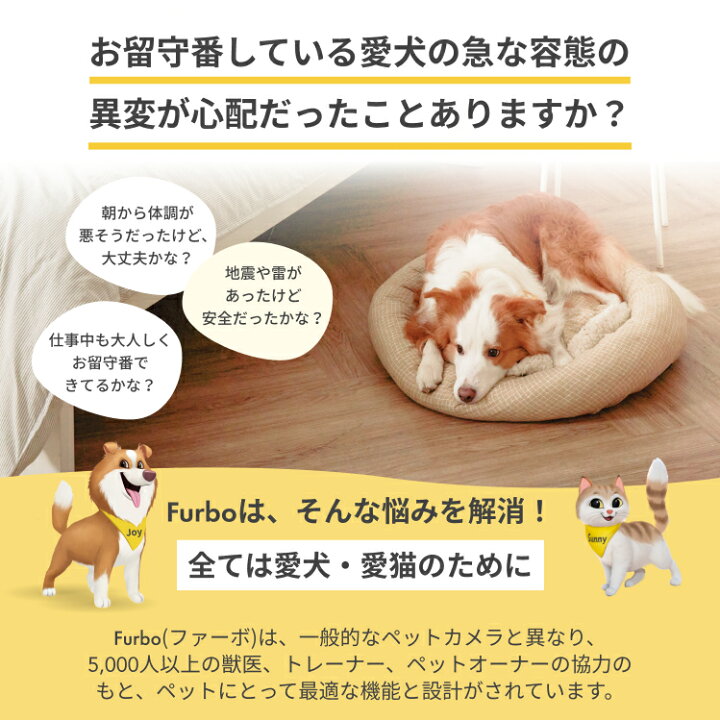 楽天市場】Furboミニ プレミア定額パッケージ [ファーボ] AI搭載 110万 