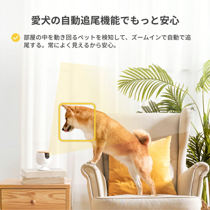 楽天市場】Furboミニ プレミア定額パッケージ [ファーボ] AI搭載 110万 
