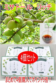 まとめて4個購入でポイント5倍！ アダバイオ ミサトールリッチ：個包装 30本入りx4箱：スティックタイプ GL後継品 処方はGLそのままに 【青梅濃縮液】AdaBio株式会社（アダバイオ） ミサトール 高濃度タイプ 梅エキス リンゴ酸 消炎