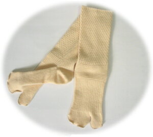 G[ R-962 ` ₳wtE[ wl22cm`24cm ׂ~߂Ȃ a^Cv LH ANGEL   T[rX   fC T[rX VjA