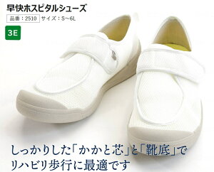 2510zXs^V[Y zCg 3E S`6L jp { a@ 㗚 ݉V[Y Y ݃[V[Y @p m  wZ { @ lԃhbO oY 
