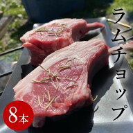 8本 500g ラムチョップ ラム肉 肉 子羊 ラム ニュージランド キャンプ BBQ 焼肉 ホームパーティーにお勧…