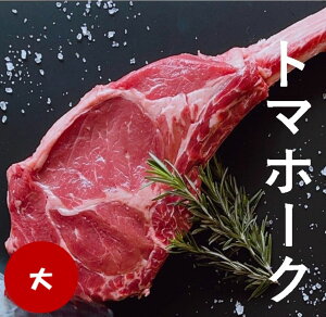 g}z[N g}z[NXe[L Xe[L t@t uXe[L u[X 瓇   }K  BBQLv Lv