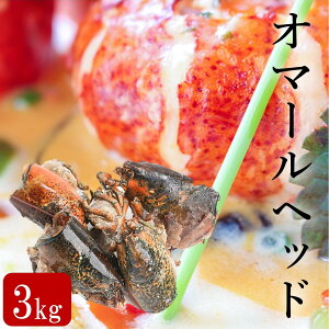 I}[wbh 1Kg Ⓚ Ji_Y I}[CV̓ I}[ uX^[ I}[̓ wbh AP[k\[X rXN o` \[X Ɩp vpH HX@3Kg