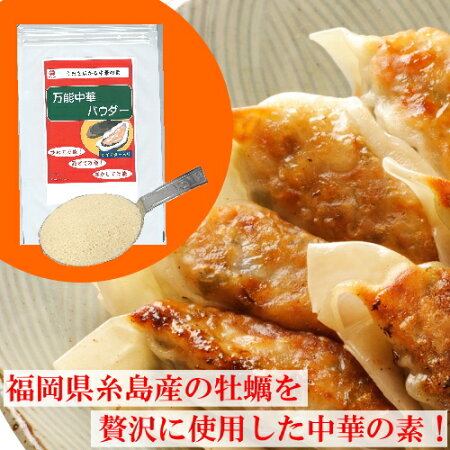 まるさん中華あんかけの素・万能中華パウダーセット【ふりだし屋】【メーカー直販】【メール便】【送料無料】