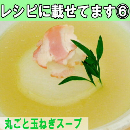 まるさん万能洋食コンソメ5個入3袋セット【メール便送料無料】【JAN:4902823160014】