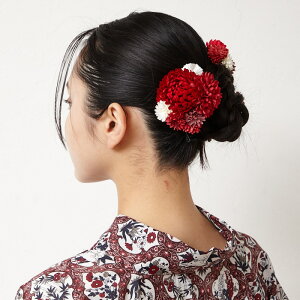 ۂۂeNbv ӂ wAs wANbv UsZbg 2_Zbg 吳}  e }  3 3 7 7 g _ 킢    wAANZT[ Mt