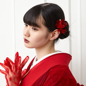 IDOLr[YwANbv ӂ r[Y ς wANbv O Zbg  3 3 7 7 g _ 吳}   wAANZT[ l Ǝ ܎O U 