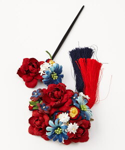 uʁv ӂ 񂴂  JUV  я wAANZT[  ^bZ 킢 ؂₩ g _ |bv  {  7  a a l