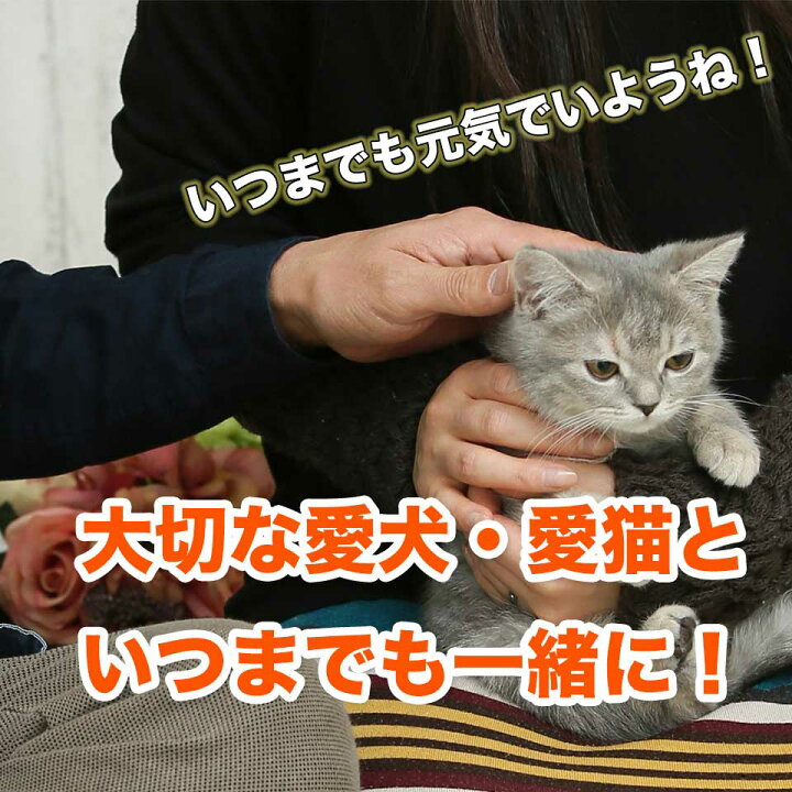 楽天市場 猫用 犬用 犬 猫 酵素 初回限定 お試し スーパーワンにゃん 100mlx2本 を2セット4本でもok 国産 ペットフード 大高酵素 犬用 酵素サプリ 腸内環境 Ibd サプリ 便秘 下痢 皮膚炎 アレルギー 高齢犬 シニア犬 シニア猫 キャットフード シニア犬 老猫