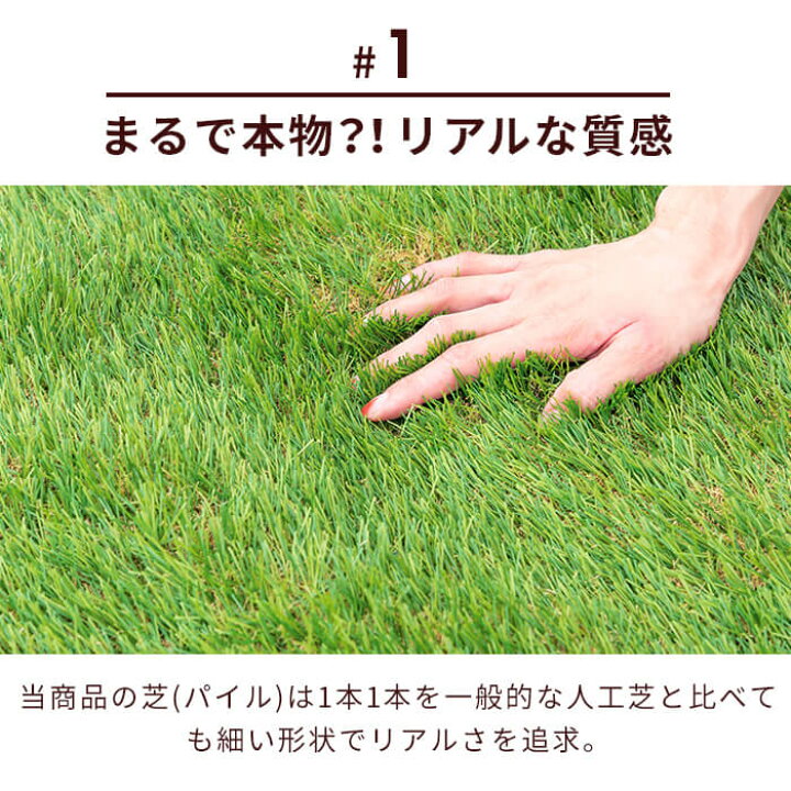 楽天市場 2 1限定 11 Offクーポン 人工芝 ロール 1m 5m 芝丈 35mm リアル ふかふか 芝生マット 人工芝生 芝生シート 人工芝ロール 芝生 ロールタイプ 高密度 固定ピン 庭 ベランダ バルコニー ドッグラン ガーデニング 水はけ ガーデン B インテリアショップ