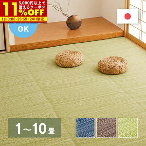 �y�N�[�|����11%OFF��6/1 0:00�`23:59�z �􂦂� ������ �J�[�y�b�g ���O 1�� 2�� 3�� 4.5�� 6�� 8�� 10�� 12.5�� 15�� �� ������ �J�o�[ �c�n�� �]�ˊ� �{�� ������ PP ���O �r�j�[���� ��~ ���� ��̕ی� 