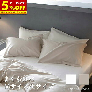 y150%OFFN[|11/4 20:00`z Jo[ MTCY LTCY܂Jo[ 43×63cmp 50×70cmp100 Rbg t@CRbg ze  IV Q s[P[X