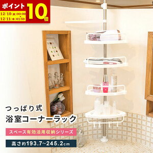 y|Cg10{12/10 0:00`12/11 1:59z  bN ˂ R[i[bN ς [ ˂_ ˂胉bN C ʏ I R[i[ [ Vv[ Lk ʑ 