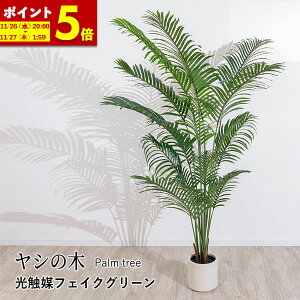 V̖ tFCNO[ G}tFCNO[ ϗtA  lHϗtA A sv ͂Ȃ { G} ^  i` j JXj ItBX X