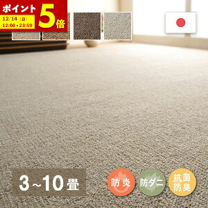 �y�|�C���g5�{��12/14 12:00�`23:59�z �~���l�߃J�[�y�b�g �]�ˊ� 3�� 4.5�� 6�� 8�� 10�� �� �J�[�y�b�g DIY �� �S�� ���O �~������ �h�� �h�_�j �R�� �h�L �E�[���J�[�y�b�g ���{�� �I�y��