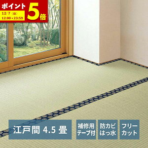 y|Cg5{12/7 12:00`23:59z Ce[vt Ő؂  ~ ݂ ]ˊ 4.5 4.5 t[Jbg ͂ hJr L \ ̕ی