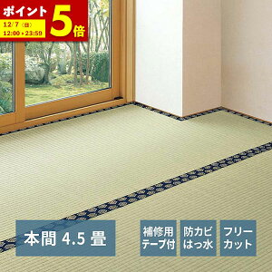 y|Cg5{12/7 12:00`23:59z Ce[vt Ő؂  ~ ݂ { 4.5 4.5 t[Jbg ͂ hJr L \ ̕ی