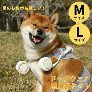 hbOt@ @   Ђ ΍ hbOEFA @Zbg   ybg ybgp MTCY ^ ^ LTCY