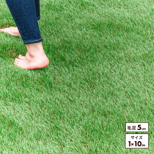 yN[|11%OFF11/1 0:00`23:59z lH [ 1x5 m 1x10 m 2x5 m 2x10 m ŏ 35mm 50mm A ӂӂ Ő}bg lHŐ ŐV[g l Ő [^Cv x Œs  x_ 