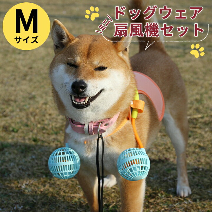 楽天市場 クーポンで最大400円off ドッグファン ミニ 扇風機 夏 犬 ひんやり 暑さ対策 散歩 ドッグウェア 扇風機セット ワンちゃん わんこ ペット ペット用具 Mサイズ 小型犬 中型犬 A インテリアショップファンボヌール 楽天市場 クーポンで最大400円off ドッグファン ミニ 扇風機 夏 犬 ひんやり 暑さ対策 散歩 ドッグウェア 扇風機セット ワンちゃん わんこ ペット ペット用具 Mサイズ 小型犬 中型犬 A インテリアショップファンボヌール