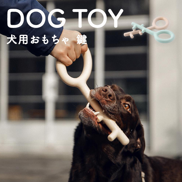 犬用 おもちゃ フレキシブル 鍵デザイン 歯磨き デンタルケア ピンク ブルー Mサイズ 犬 高品質新品 可愛い 歯みがき 激安セール おしゃれ オモチャ 玩具 pidan かわいい ピダン