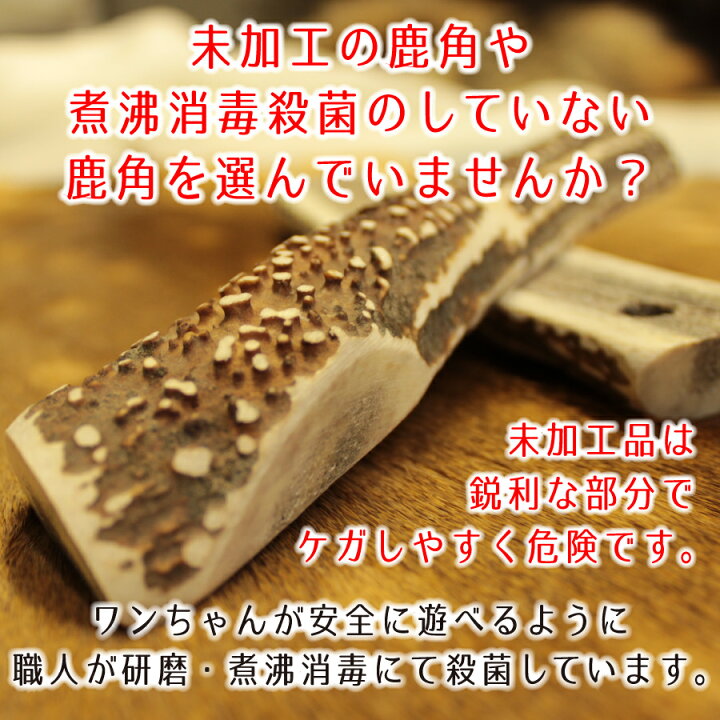 楽天市場】【小型犬用 1本】蝦夷鹿角ドッグガム ガジガジ GajiGaji 