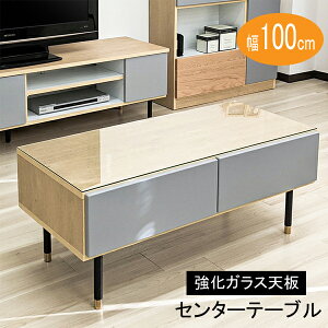 !?y|Cg&N[|z Z^[e[u ؐ o TCh{[h rt i` uE 100cm uNJ GkWF[v ֓n 