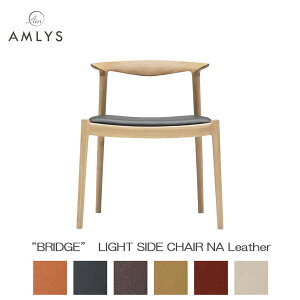 AMLYS AX BRIDGE ubW Y ֎q _CjO `FA CgTCh`FA {v U[ NA k f}[N fUC ICh i` 󒍐Yi Jݒu