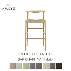 AMLYS AX BRIDGE ubW o[`FA i`Y ֎q _CjO `FA z t@ubN zCgI[N IChk f}[N fUC 󒍐Yi Jݒu