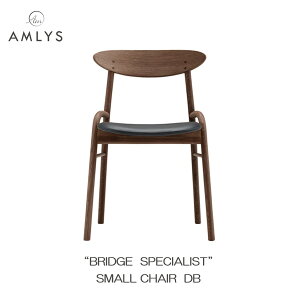 AMLYS AX BRIDGE ubW X[`FA _[NuEY ֎q _CjO `FA v U[ zCgI[N IChk f}[N fUC ֓n